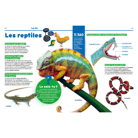 1001 pourquoi comment – science & vie junior