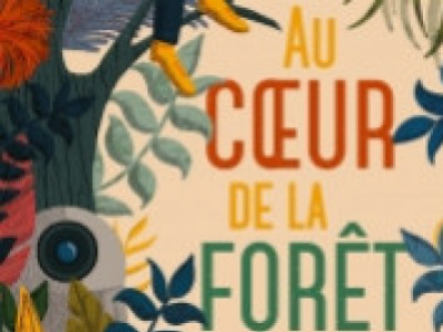 Au cœur de la forêt 